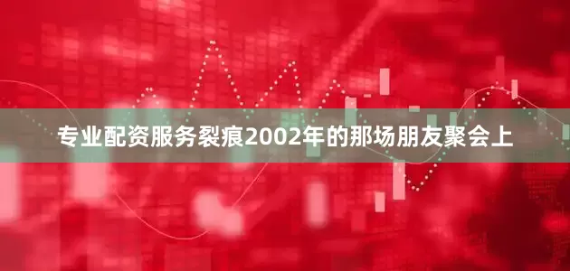 专业配资服务裂痕2002年的那场朋友聚会上